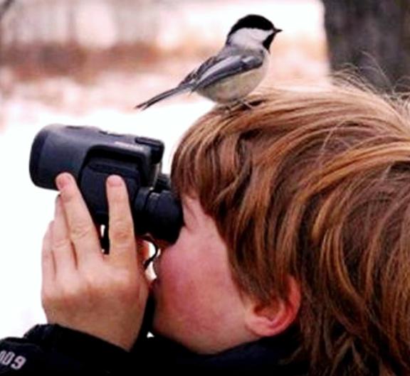Obazrive i inspirativne foto safari ture